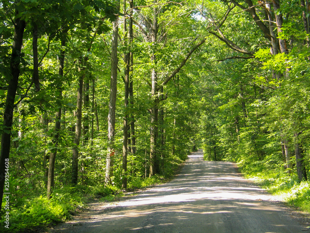 Fototapeta premium Rural NY Back Road