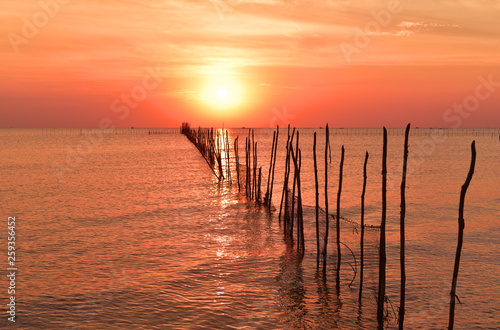 Seaweed farms and sticks on the sea at the east side of Belitung Island druing sunset  Indonesia