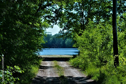 An der Donau