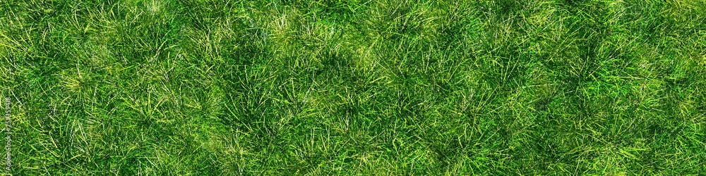 Herb texture, glade from above, grass meadow Herb texture, glade from above, grass meadow