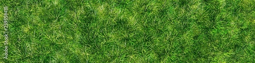 Herb texture, glade from above, grass meadow