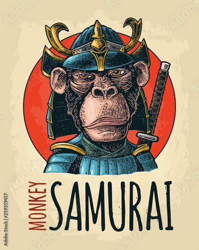 Monkey with samurai sword and japan armor. Vintage black engraving