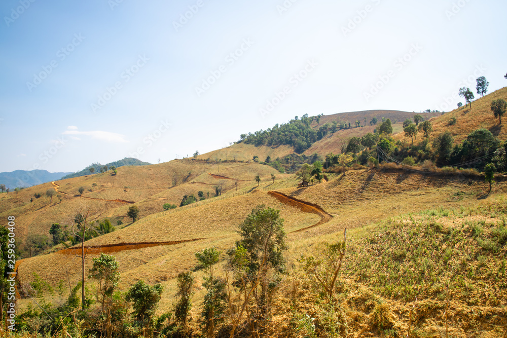 Naklejka premium Landscape in Hot season or Dry season Mea-jam, chiangmai, Thailand