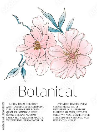 Watercolor peony flowers botanical card. Wedding card floral illustration. Hand drawn beautiful art background.