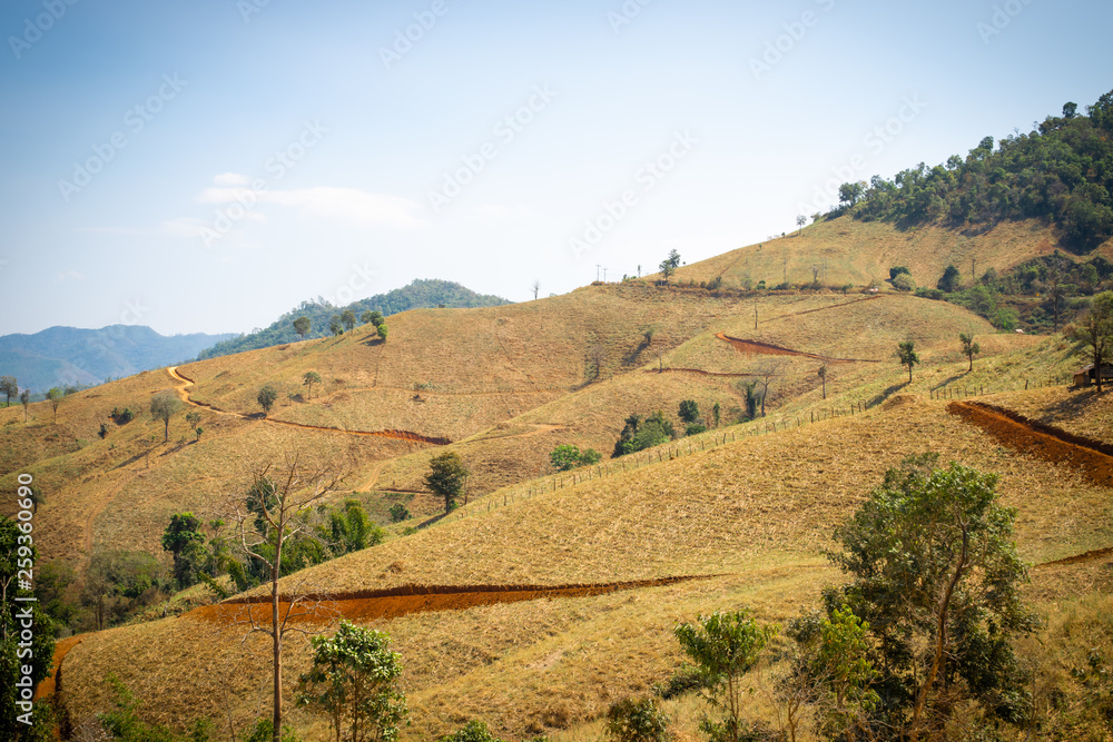 Landscape of meadow in Hot season or Dry season  Mae-Jam, chiangmai, Thailand