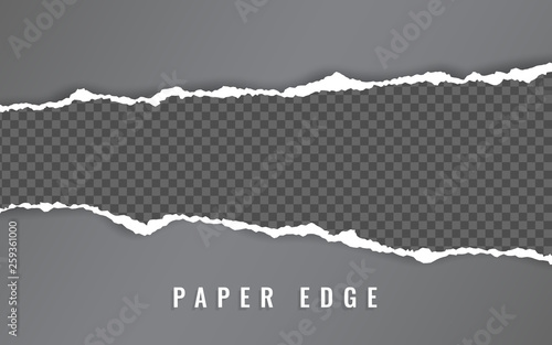 Torn paper edge. Torn paper stripes. Ripped squared horizontal paper strips. Vector illustration