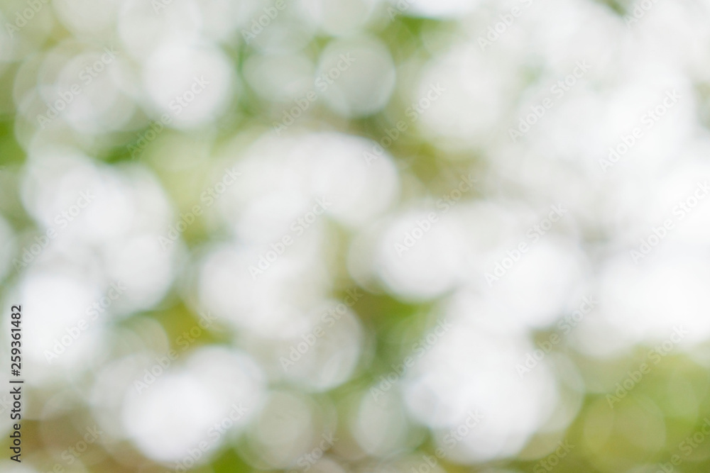 Obraz premium Abstract circular green bokeh background