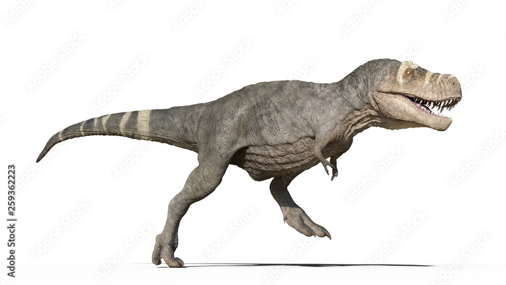 T-rex dinosaur running. Photorealistic 3d illustration side view. On white  background. Clipping path included Stock Photo - Alamy