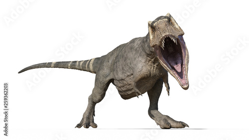 T-Rex Dinosaur, Tyrannosaurus Rex reptile, prehistoric Jurassic animal roaring on white background, front view, 3D illustration © freestyle_images