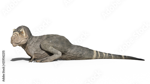 T-Rex Dinosaur  Tyrannosaurus Rex reptile sitting  prehistoric Jurassic animal isolated on white background  3D illustration