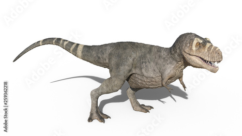 T-Rex Dinosaur, Tyrannosaurus Rex reptile standing, prehistoric Jurassic animal isolated on white background, 3D illustration © freestyle_images