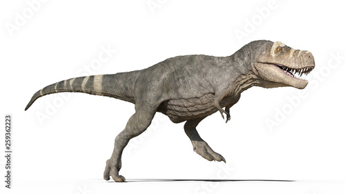 T-Rex Dinosaur, Tyrannosaurus Rex reptile running, prehistoric Jurassic animal isolated on white background, 3D illustration
