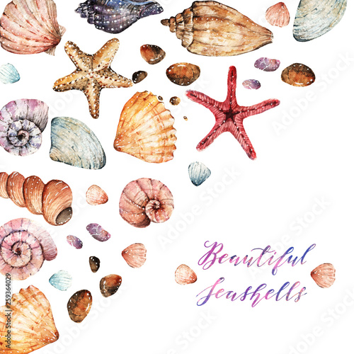 Watercolor illustration, Beautiful seashells, set. background, handmade, postcard for you