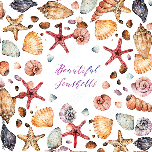 Watercolor illustration, Beautiful seashells, set. postcard for you, background, handmade