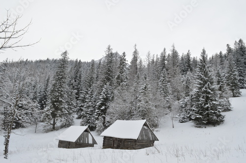 winter holidays in Zakopane