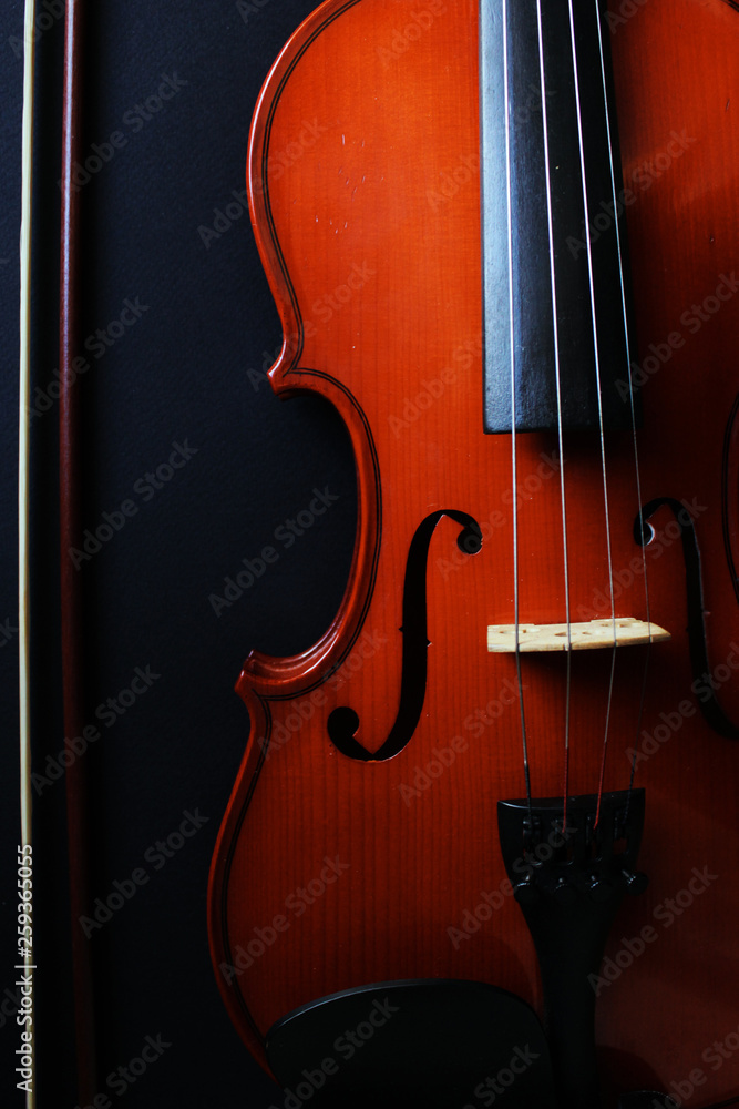 Fototapeta Musical instrument. Violin. Old violin.