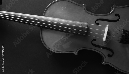 Musical instrument. Violin. Old violin. Black and white photo