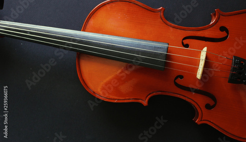 Musical instrument. Violin. Old violin.