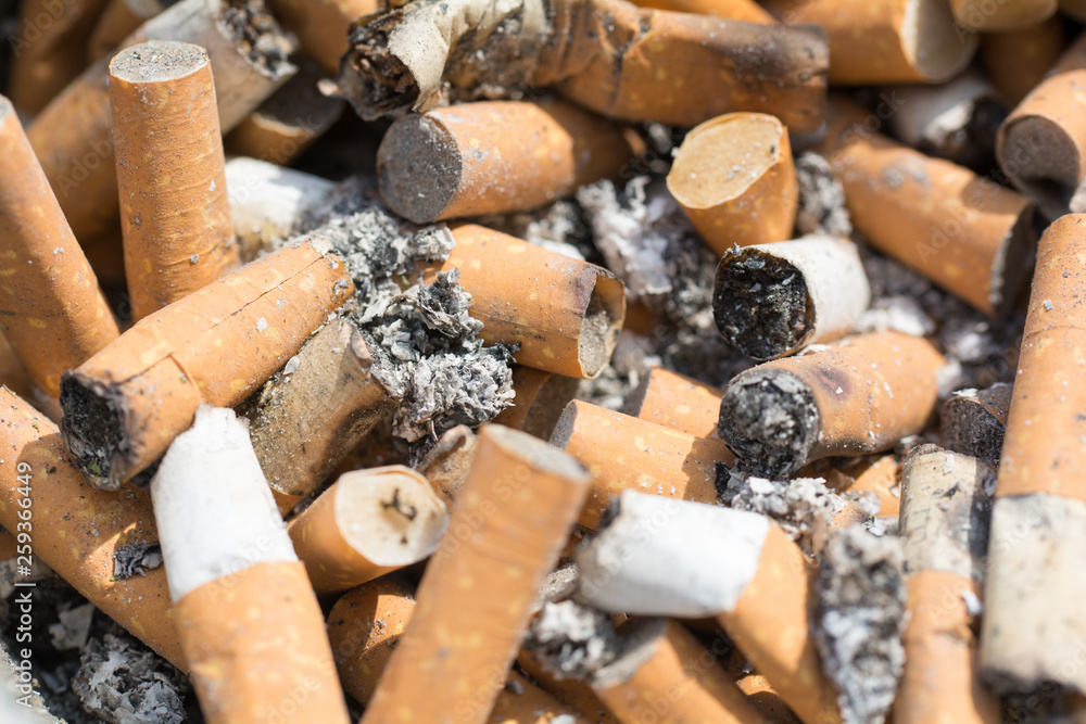 Fototapeta premium Aschenbecher- Zigaretten Asche rauchen stinken