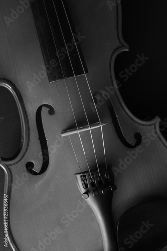 Musical instrument. Violin. Old violin. Black and white photo