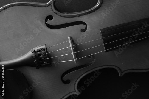 Musical instrument. Violin. Old violin. Black and white photo