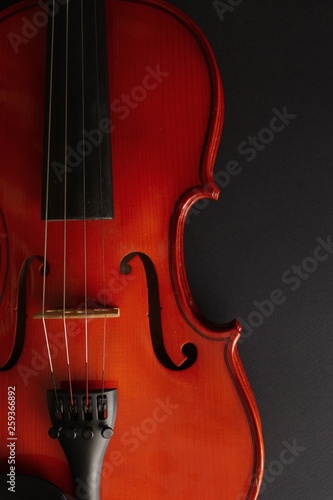 Musical instrument. Violin. Old violin.