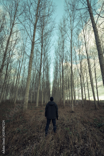 homme seul au milieu d'une rangée d'arbre © Aurélien Poulat