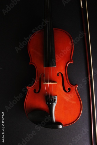 Musical instrument. Violin. Old violin.