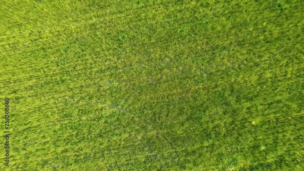 Foggy suburban morning. Aerial view from above on the field Foggy suburban morning. Aerial view from above on the field