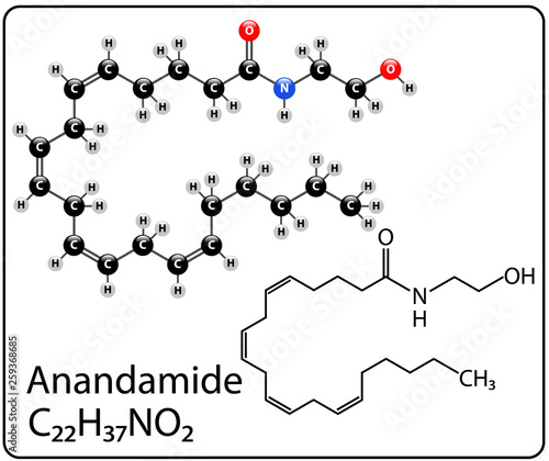 Anandamide Molecule Structure