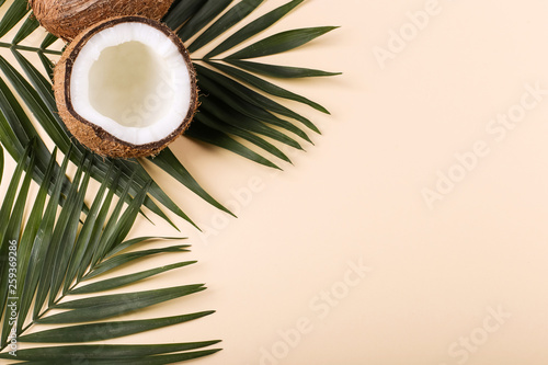 Coconut and palm leaves, copy space. Summer mood, tropical background, blank.