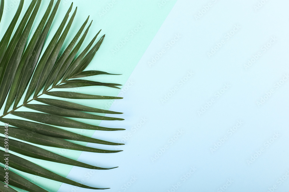 Fototapeta premium Palm leaves on colored paper. Summer mood, tropical background, blank.