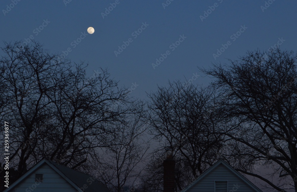 Moon in the Evening Sky Calm Night Houses in Suburban Neighborhood Moon in the Evening Sky Calm Night Houses in Suburban Neighborhood