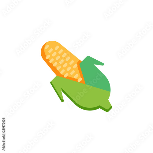 Ear of corn flat icon, vector sign, Sweet corn colorful pictogram isolated on white. Corn cobs symbol, logo illustration. Flat style design