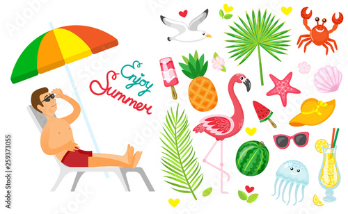 Fototapeta Naklejka Na Ścianę i Meble -  Enjoy summer vector, man sitting under umbrella relaxing. Palm tree branch with leaves, crab and flamingo with pink plumage, ice cream and watermelon