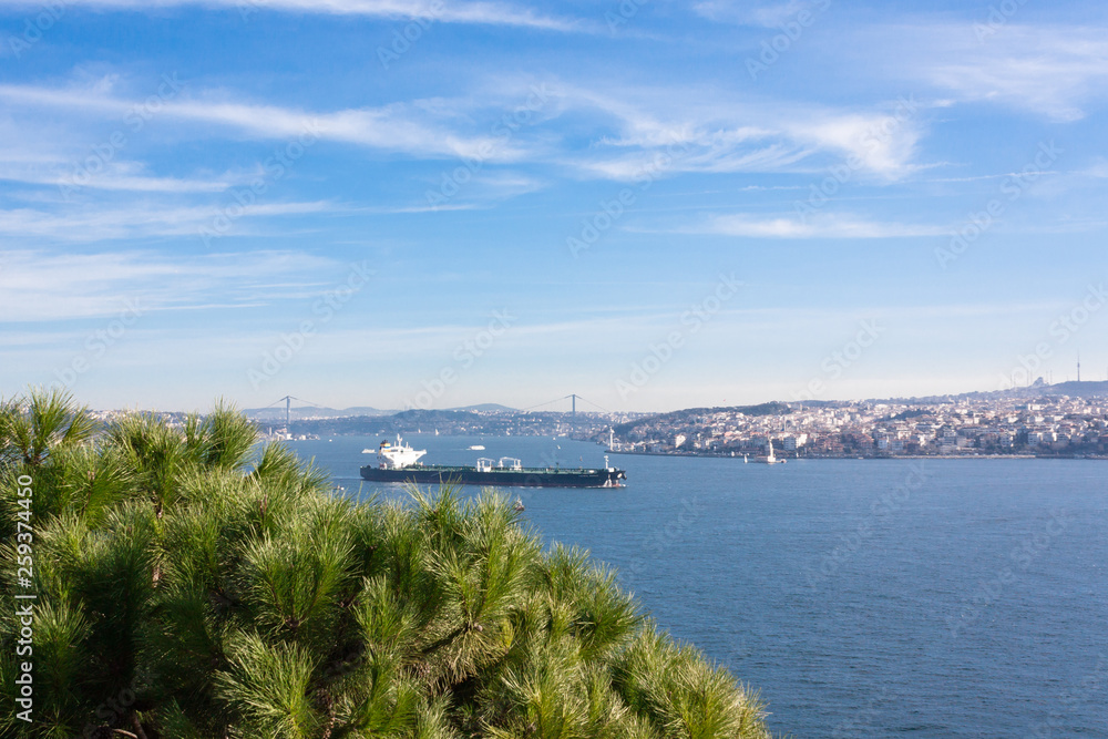 Istanbul, Turkey. A tourist ship sails through the Bosphorus. View of the city. Tourism and travel.