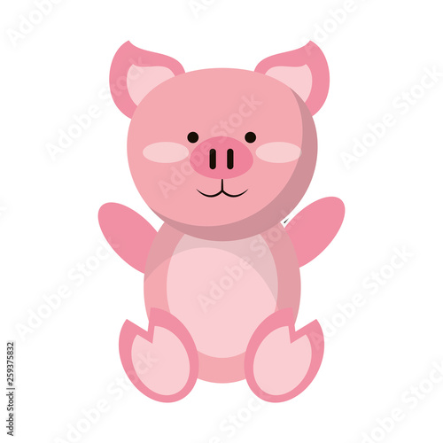 Pig cute animal