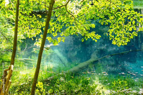 Wallpaper Mural 紺碧 Torontodigital.ca