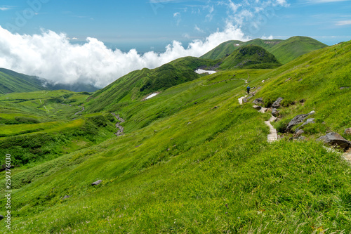Wallpaper Mural 夏の登山道 Torontodigital.ca