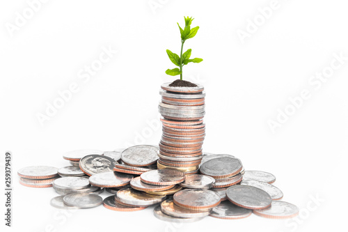 Financial planning, Money growth concept. Coins with young plant on white table.