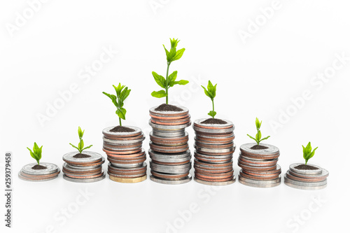 Financial planning, Money growth concept. Coins with young plant on white table.