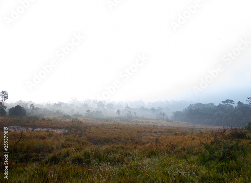 fog in the mountains