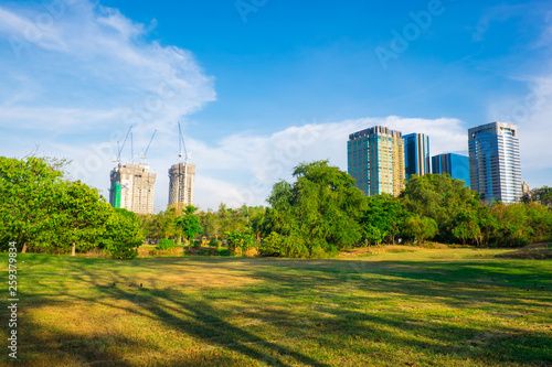 Central public city park green meadow with tree and building