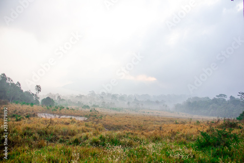 fog in the mountains