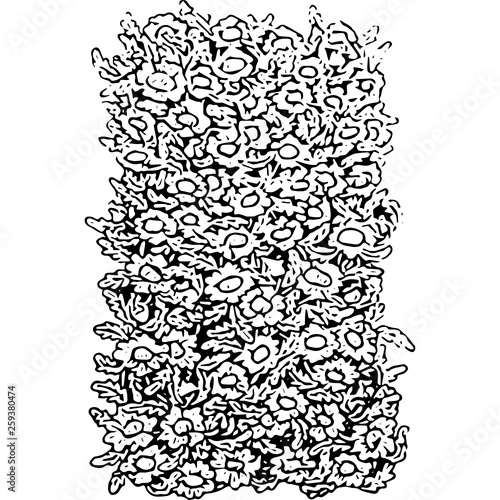 Thai moral flowers 3