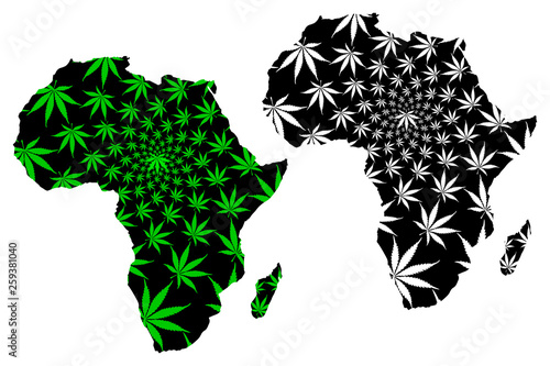 Africa continent - map is designed cannabis leaf green and black, Africa and Madagascar map made of marijuana (marihuana,THC) foliage,