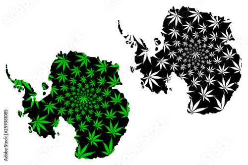 Antarctica continent - map is designed cannabis leaf green and black, South Pole map made of marijuana (marihuana,THC) foliage,