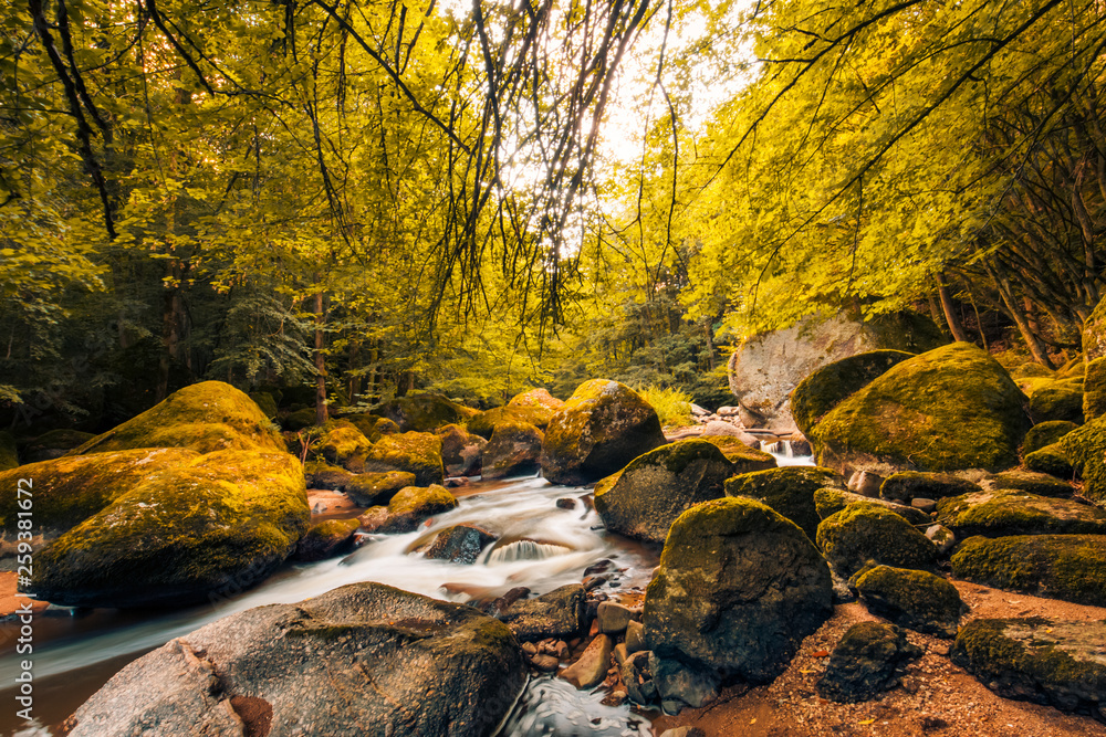Autumn forest river water landscape. Beautiful scenery with soft sunlight, rocks and long exposure river. Autumn forest 