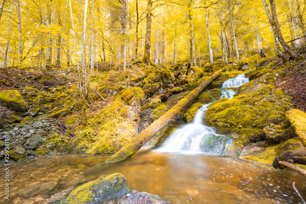 Autumn forest river waterfall stones landscape. Forest waterfall river in autumn season. Autumn waterfall river view Autumn forest river waterfall stones landscape. Forest waterfall river in autumn season. Autumn waterfall river view