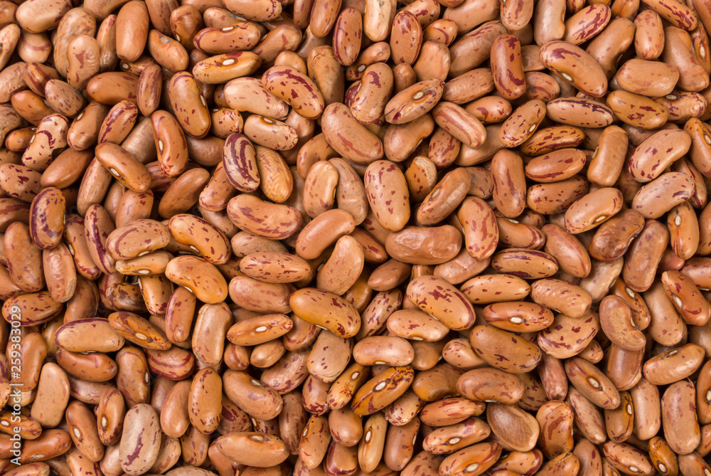 Pinto bean texture background. nutrition. bio. natural food ingredient. Pinto bean texture background. nutrition. bio. natural food ingredient.